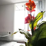 Modern 2 Bedroom Apartment - City Centre - Parking